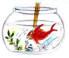Illustration aus dem Fisch im Glas