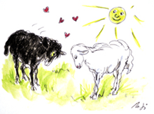 Illustration aus Auch schwarze Schafe werden geliebt